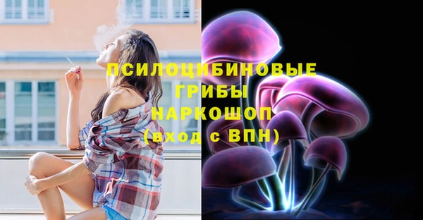 бошки Дмитров