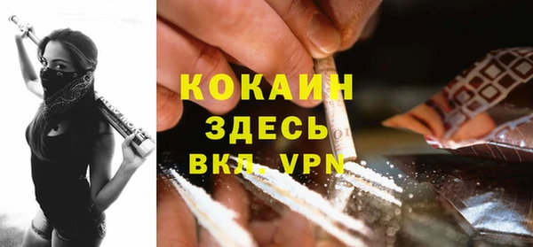 бошки Дмитров