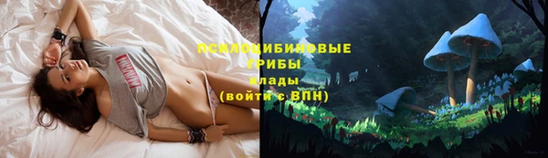 бошки Дмитров
