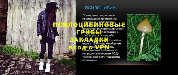 спайс Дмитриев