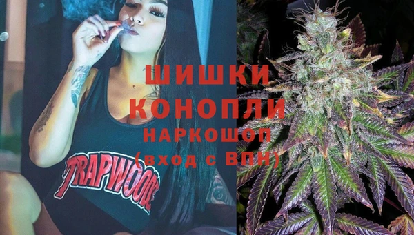бошки Дмитров