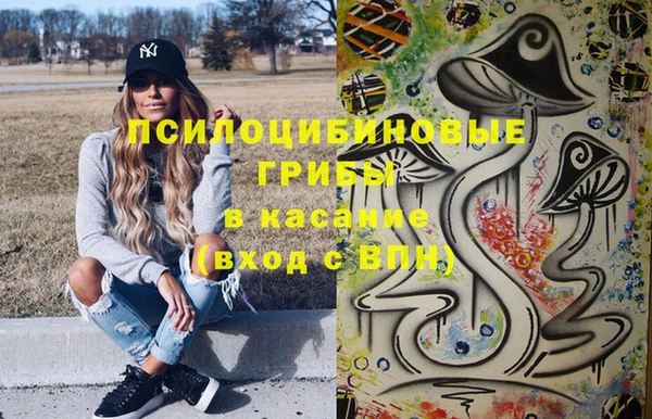 бошки Дмитров