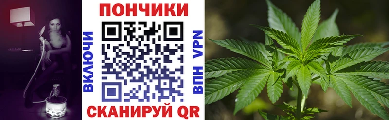 omg онион  Дубовка  Каннабис план 